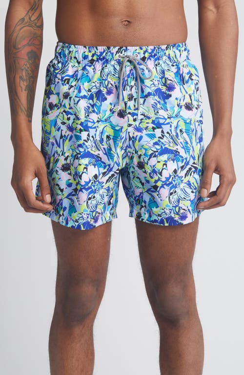 Boardies Amelia Mid Length Swim Trunks in Blue  product