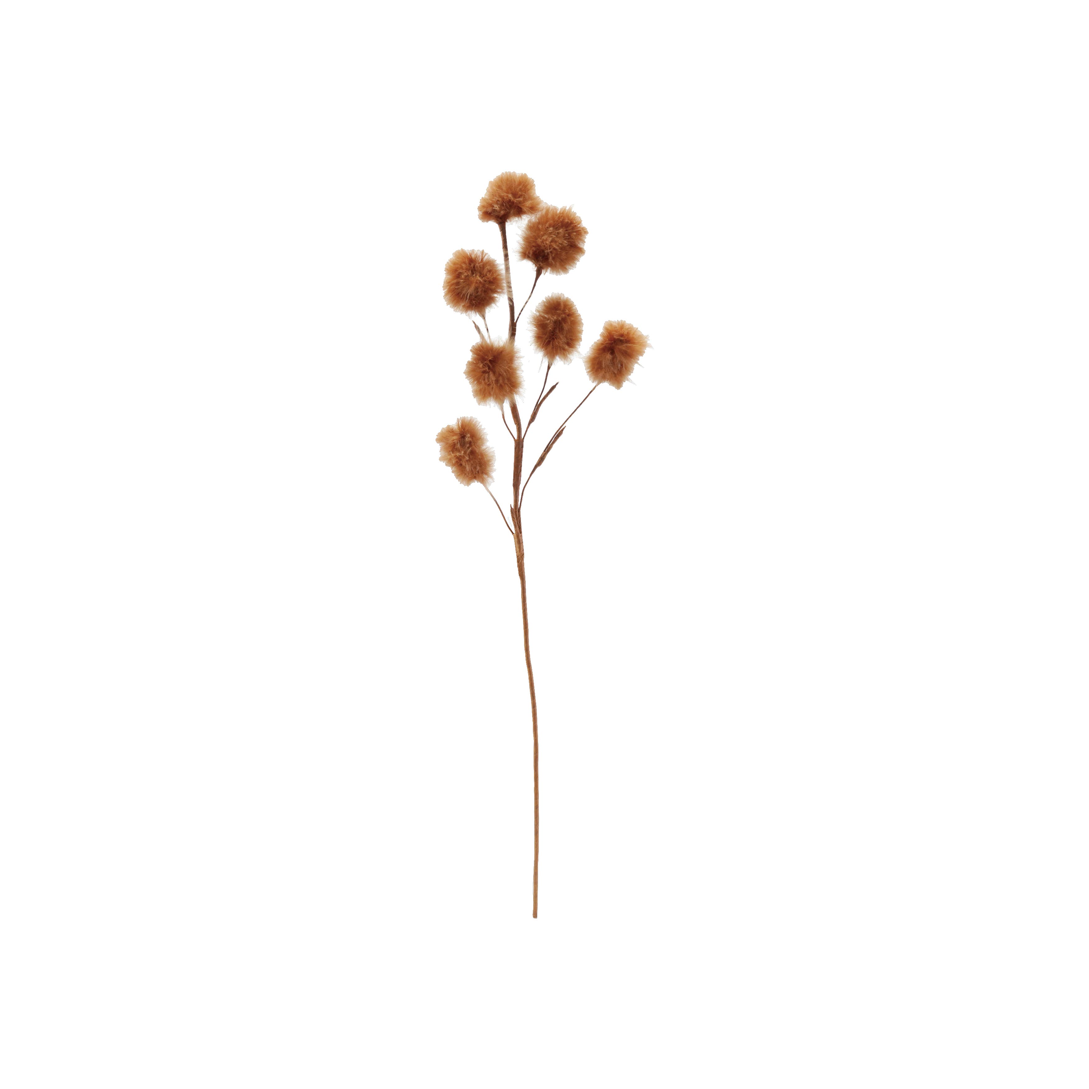 selected Brown