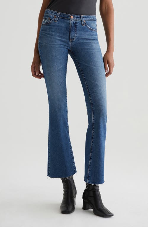 AG Angel Low Rise Bootcut Jeans in 15 Years Prague 