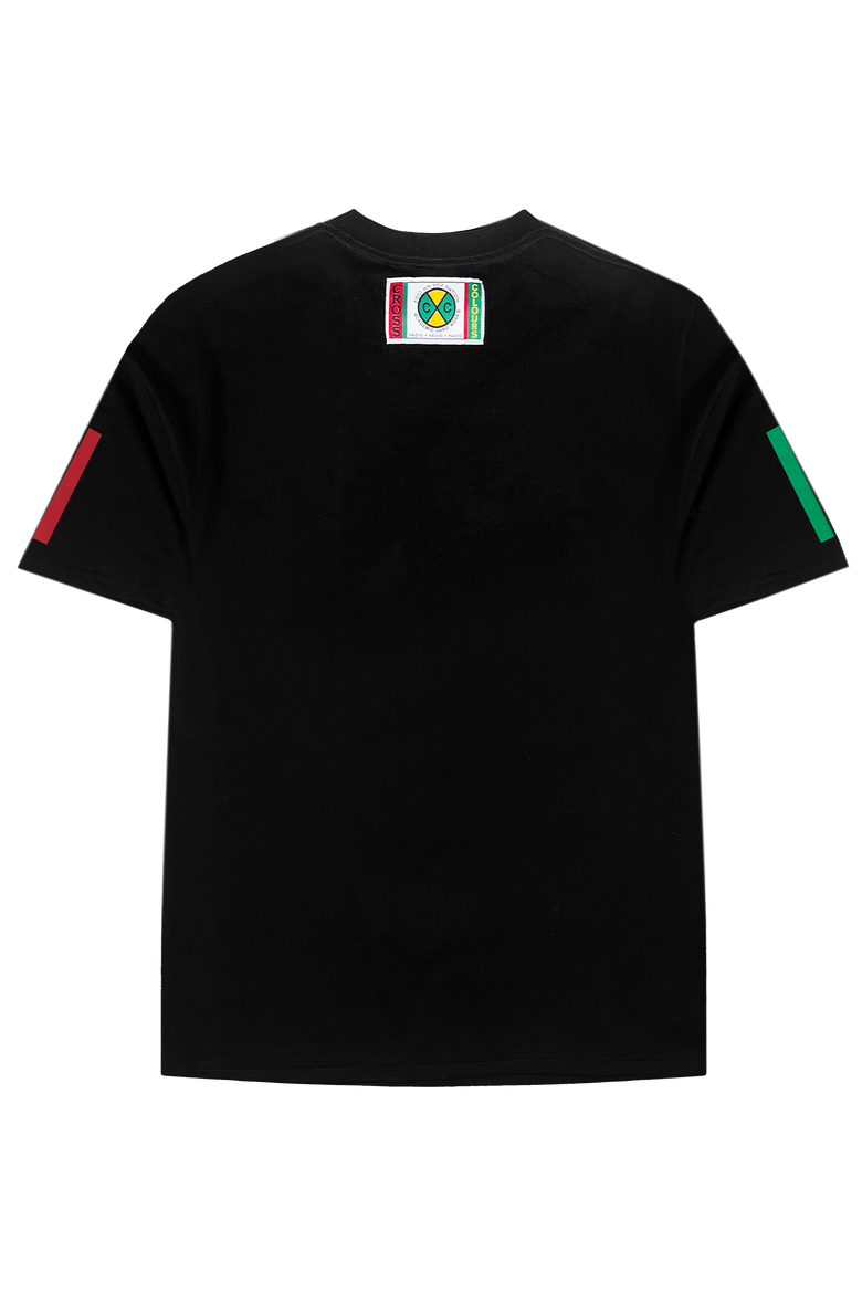 Flag Logo T-Shirt, Alternate, color, Black