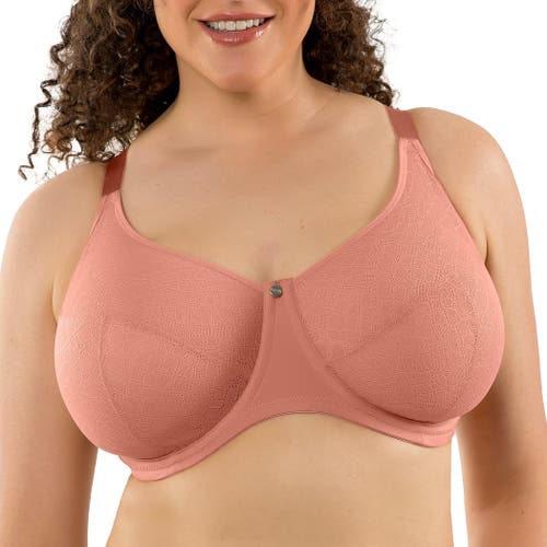 Parfait Enora Minimizer Bra In Brown