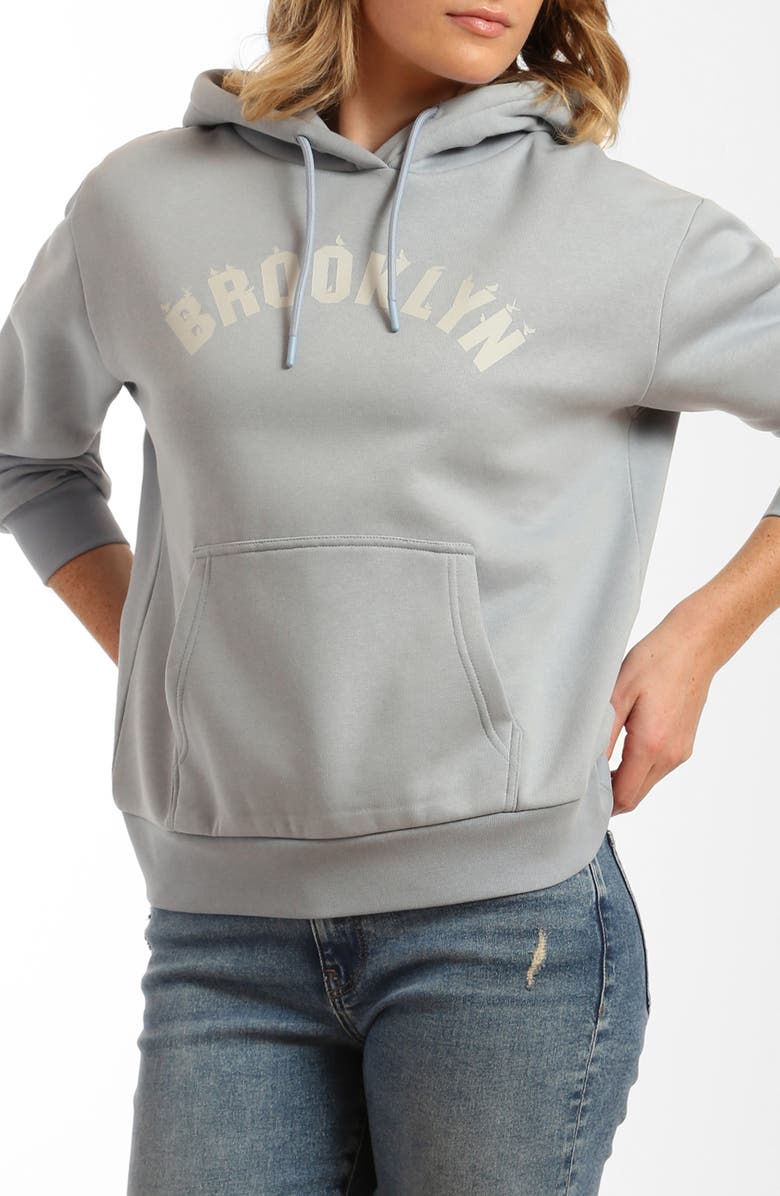 Brooklyn Industries Brooklyn Birds Cotton Blend Hoodie, Main, color, 