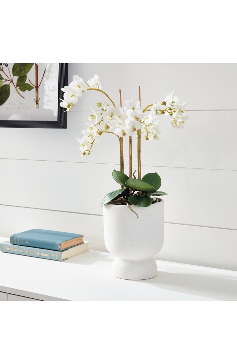 Napa Home & Garden Phalaenopsis Orchid Faux (Fake) Drop-In 20", Alternate, color,