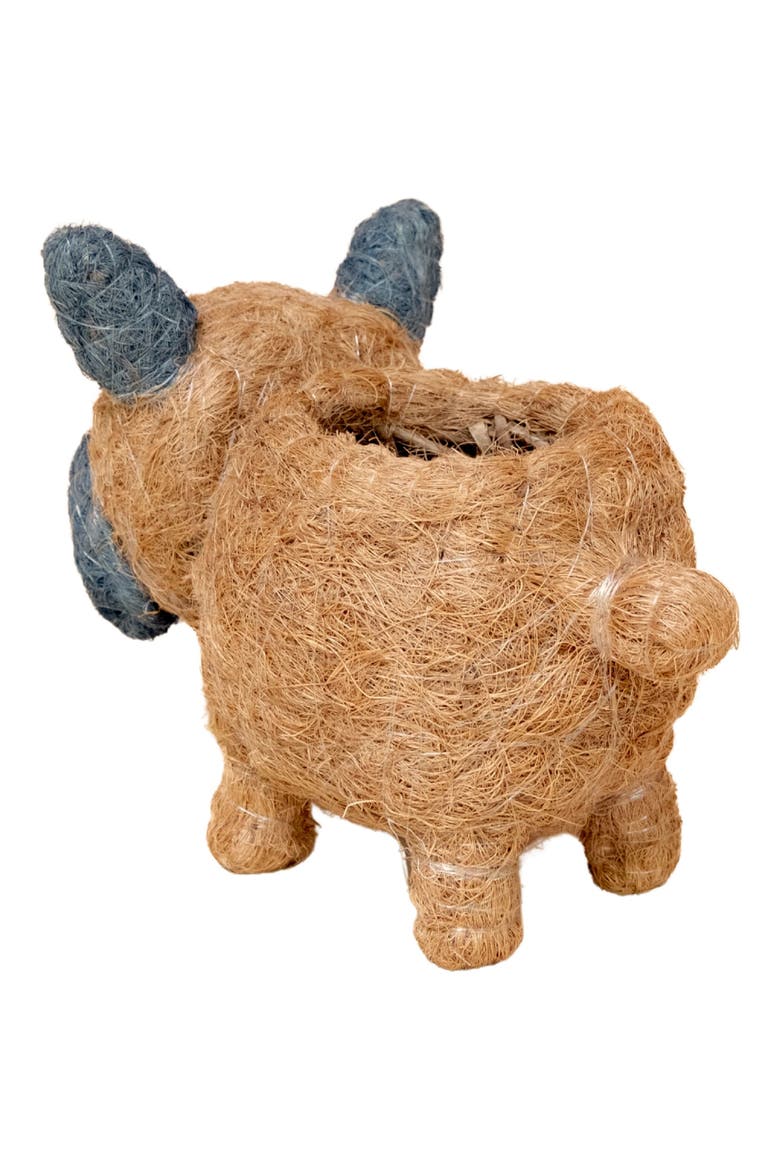 Baby French Bulldog Handwoven Planter, Alternate, color, BROWN / BLACK