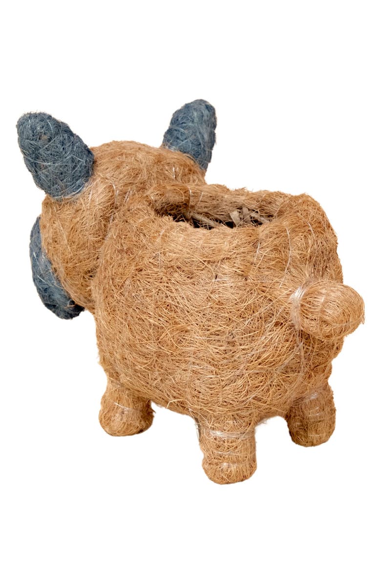 LIKHA Baby French Bulldog Handwoven Planter, Alternate, color, 