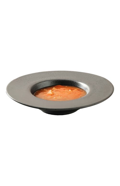 Stone Lain Valencia Porcelain 16-piece Dinnerware Set In Gray