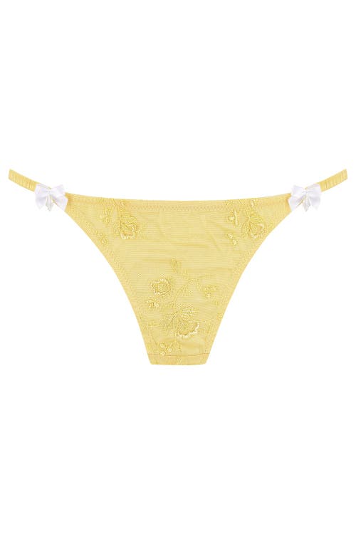 Scarlett Gasque Gasque Lace Thong In Yellow
