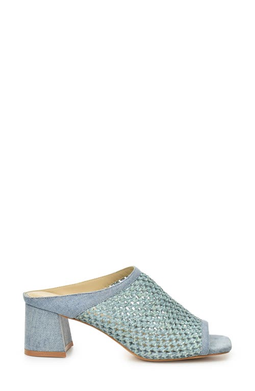 Catherine Catherine Malandrino Levot Braided Raffia Mule In Light Denim