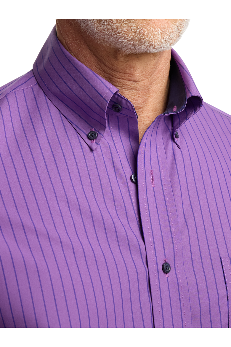 Cotton Buttondown Collar Broadcloth Classic Contrast Trim Button Cuff Long Sleeve Shirt, Alternate, color, Purple