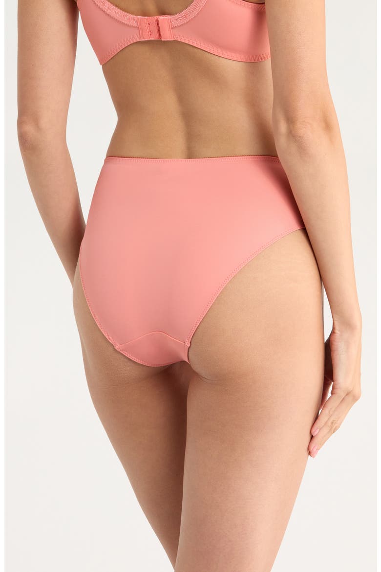 Diva Embroidered Mesh Panties, Alternate, color, LANTANA