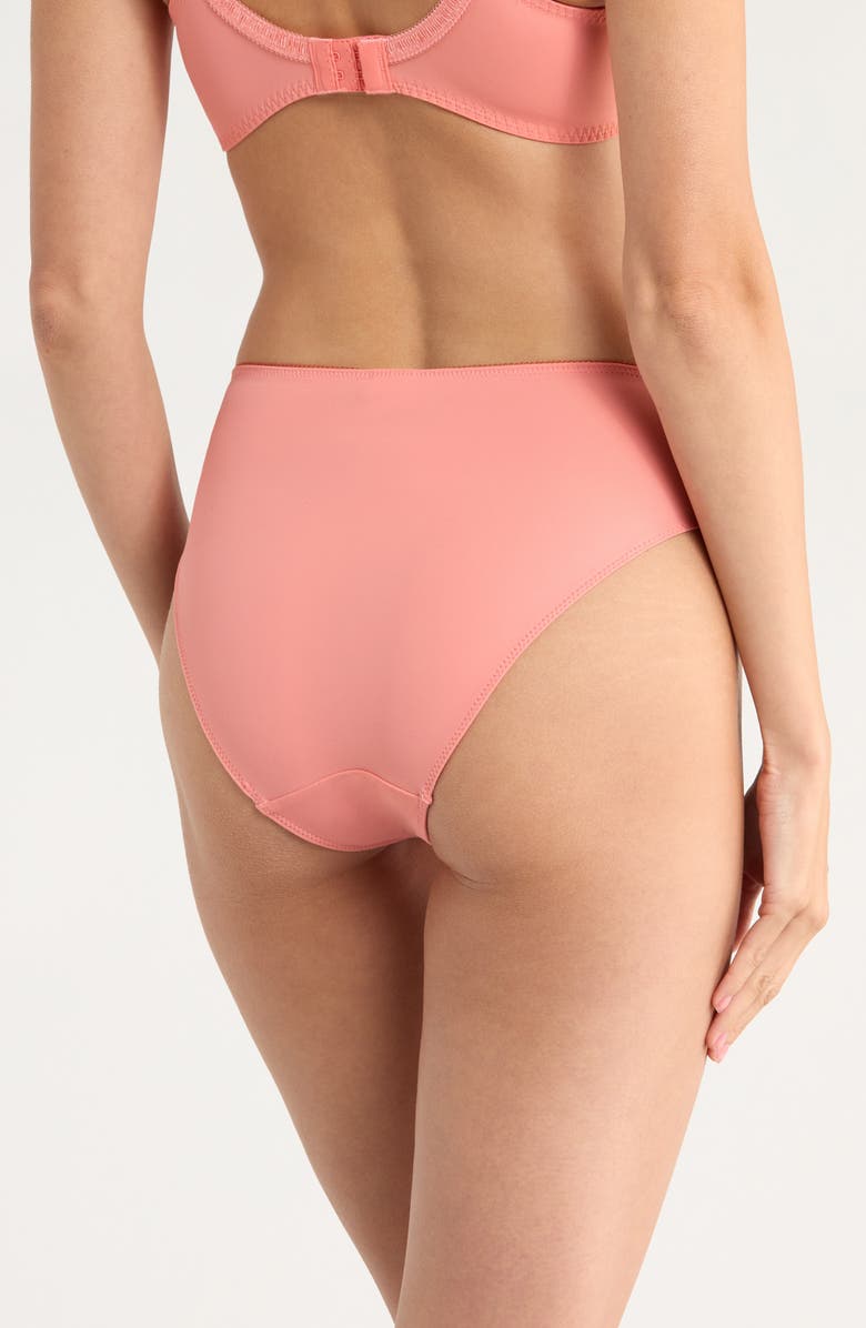 Hunkemöller Diva Embroidered Mesh Panties, Alternate, color, 