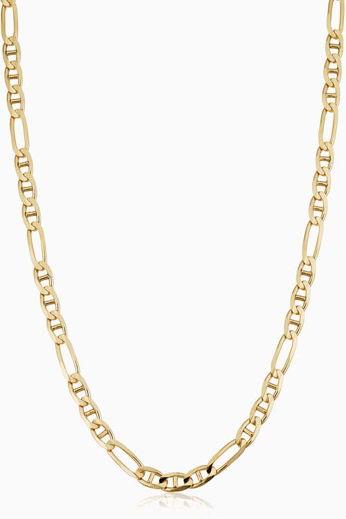 Oradina Men's Figarucci Bold Chain in 14K Gold in Yellow Gold at Nordstrom, Size 20