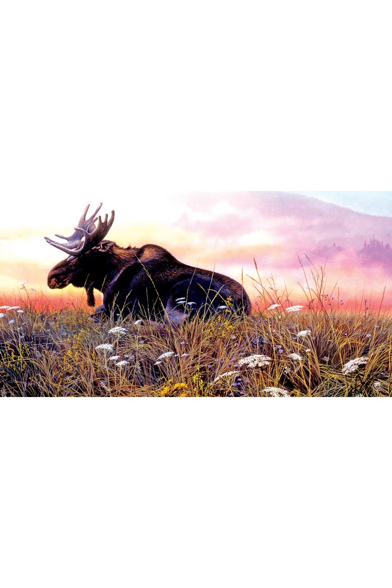 Daybreak Moose 500 piece Jigsaw Puzzle for Adults, Alternate, color, Multicolor