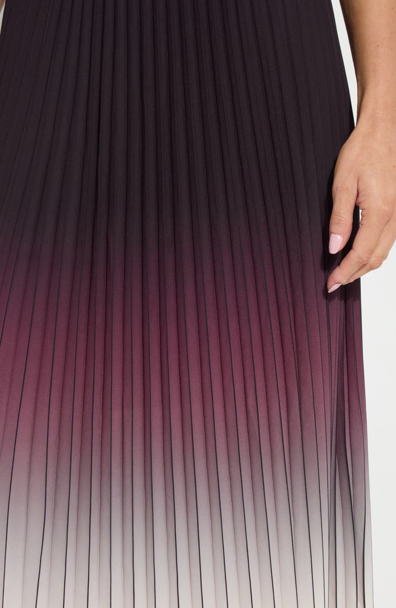 Lysse Lorena Pleated Chiffon Dress, Alternate, color, Red Sangria