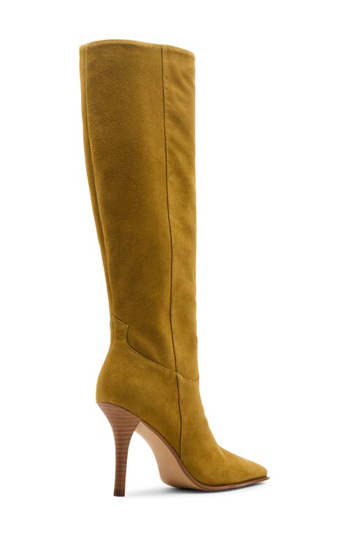 Steve Madden Wescot Knee High Boot In Brown