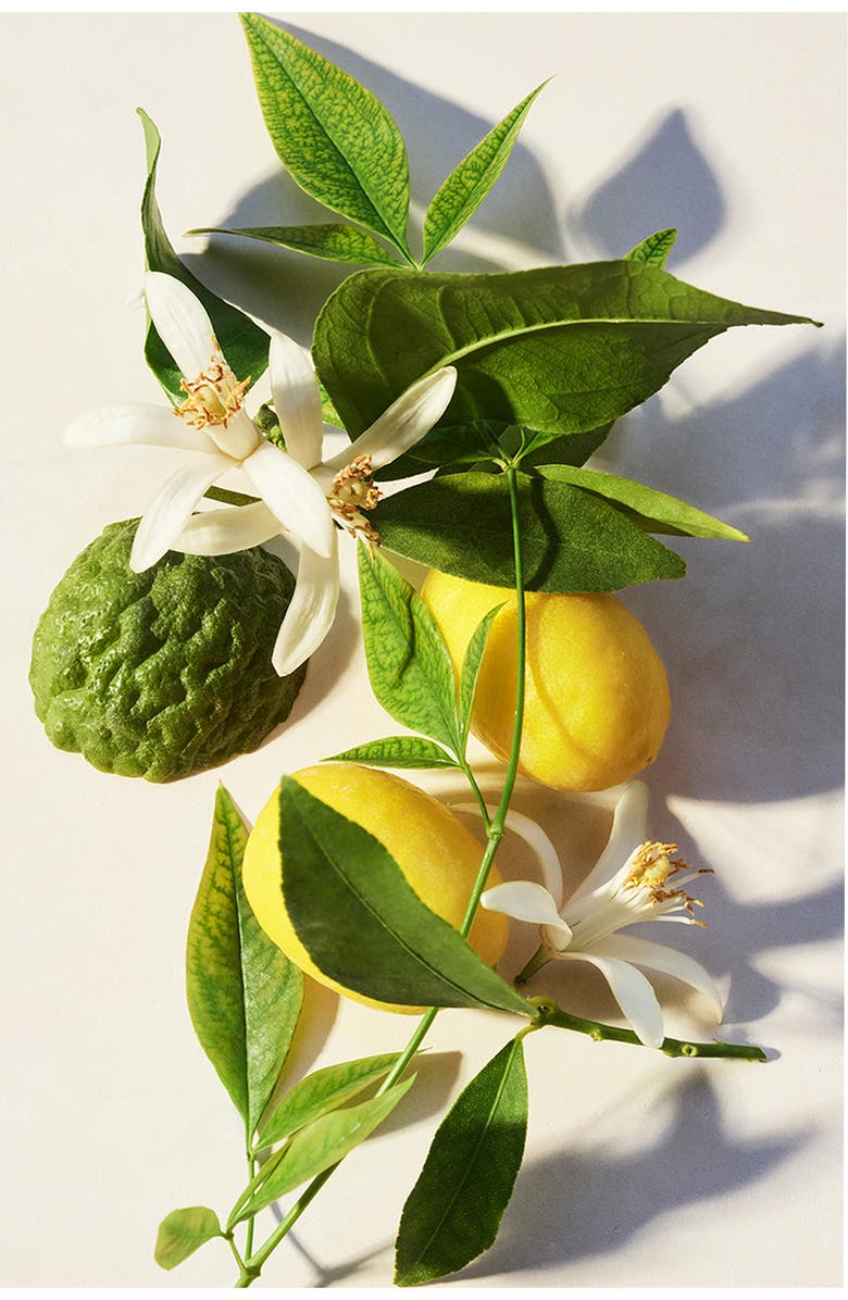 BVLGARI Eau Parfumée Thé Vert Eau de Toilette Gift Set, Alternate, color,