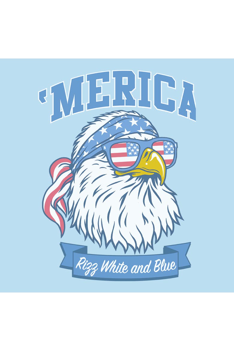 Men's Lost Gods America Cool Bald Eagle  Graphic T-Shirt, Alternate, color, Light Blue