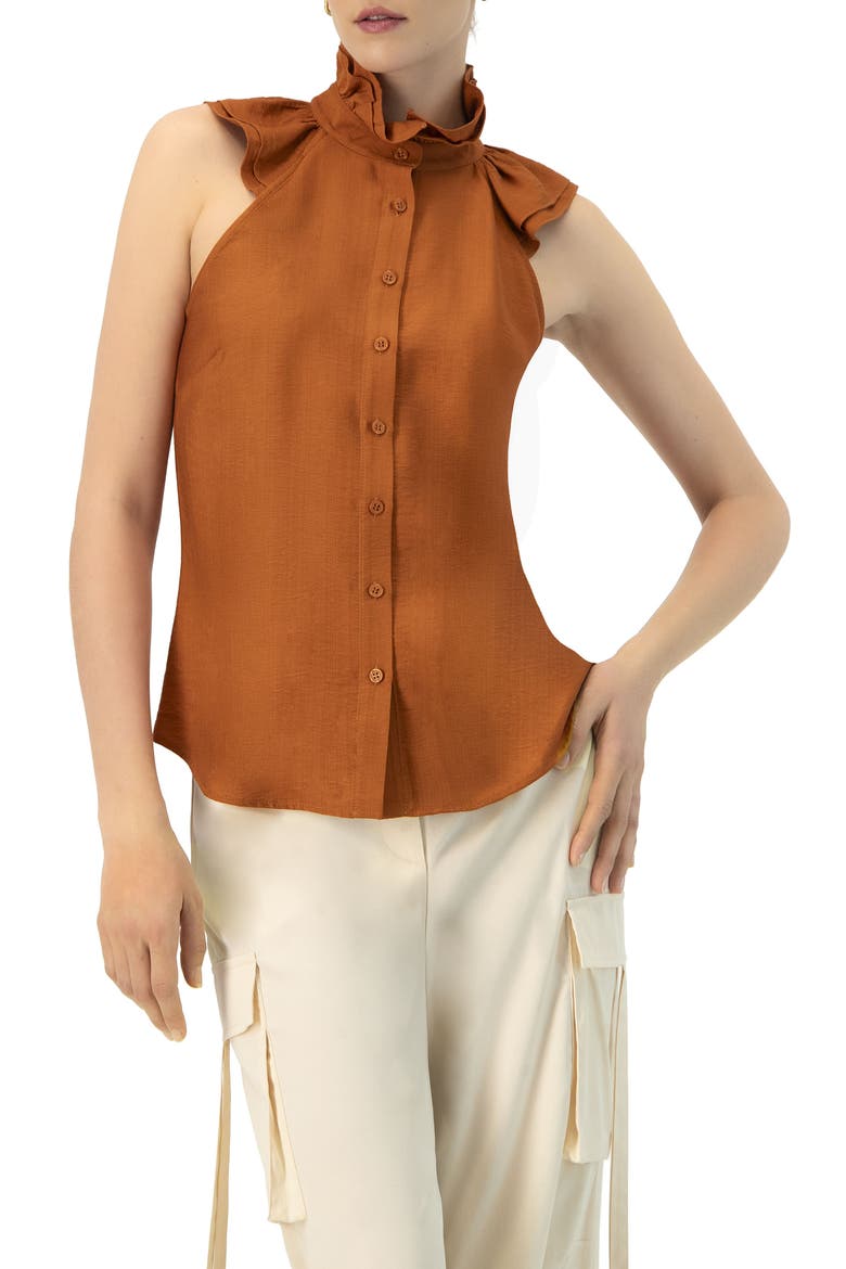 Sleeveless High Neck Blouse with Front Buttons, Main, color, Brown