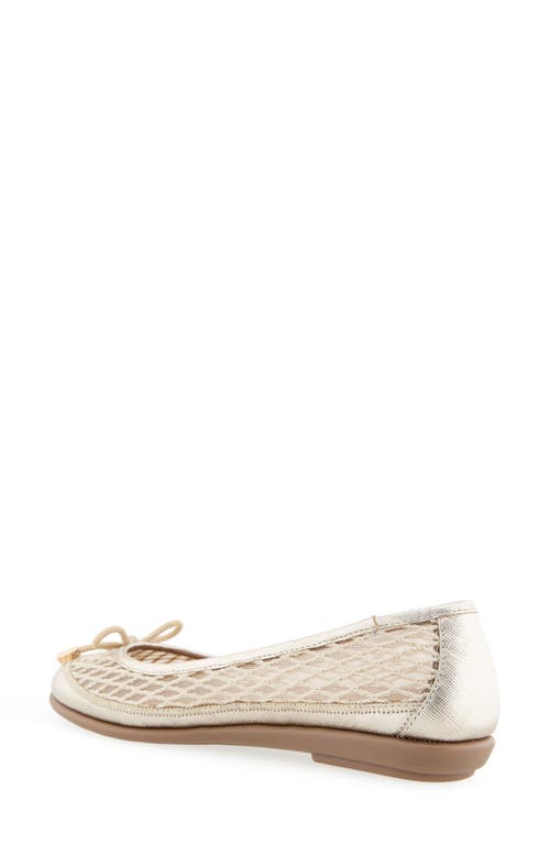 AEROSOLES AEROSOLES BRIA BALLET FLAT
