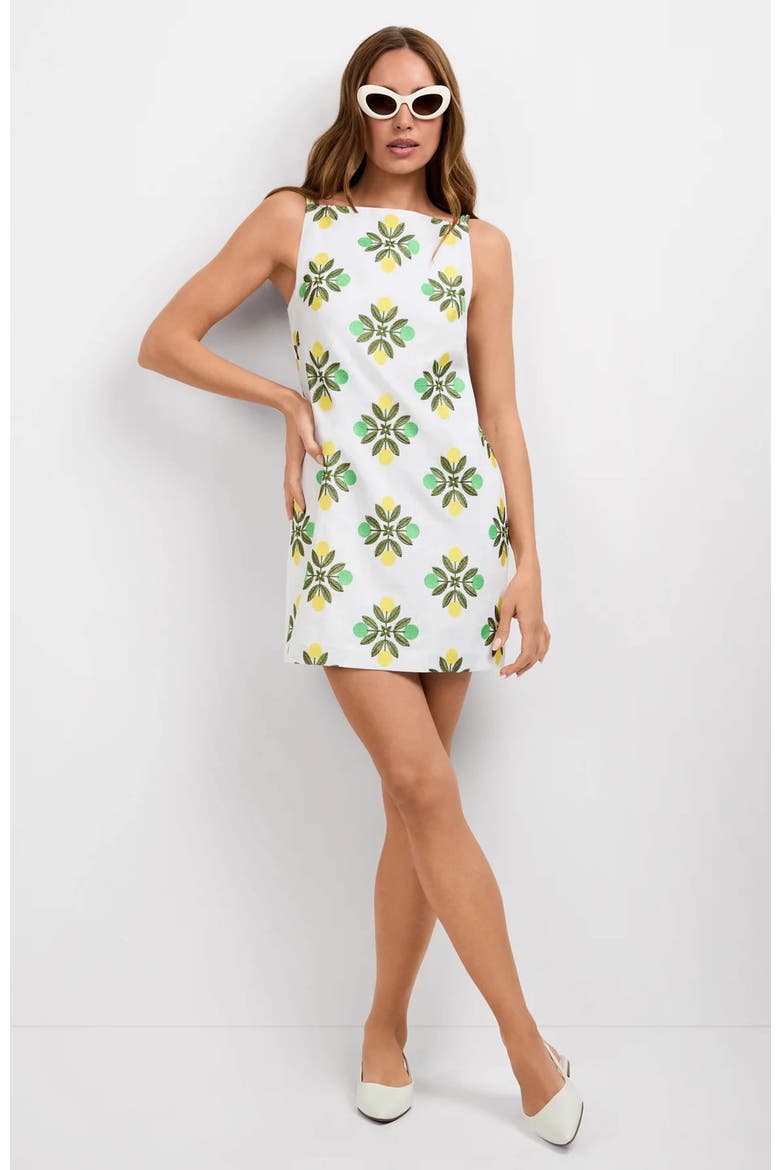 Solay Mini Dress, Main, color, Limone Embroidery