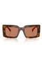 selected Juniper Tortoise / Brown