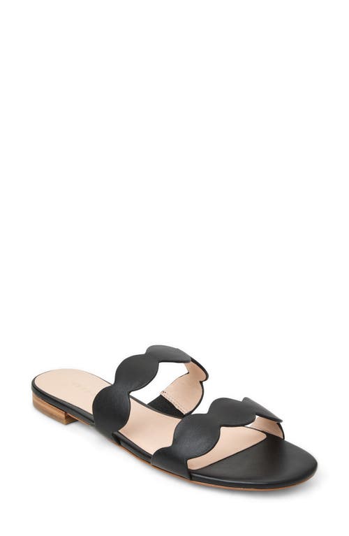 Jack Rogers Greglen Two-strap Sandal In Black