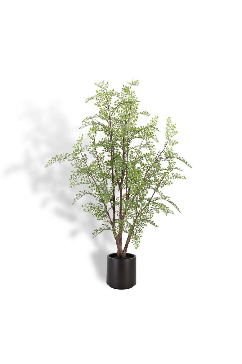Faux Maidenhair Fern, Main, color, Green