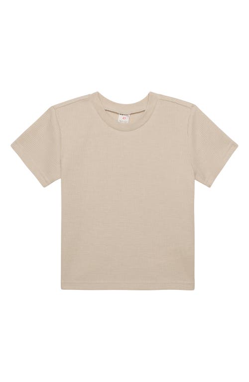Pl Baby By Petit Lem 3-piece T-shirt & Shorts Set In Beige Sun