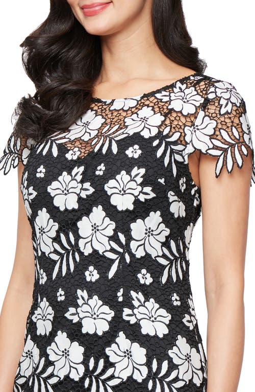 Alex Evenings Embroidered Lace Cocktail Dress In Black