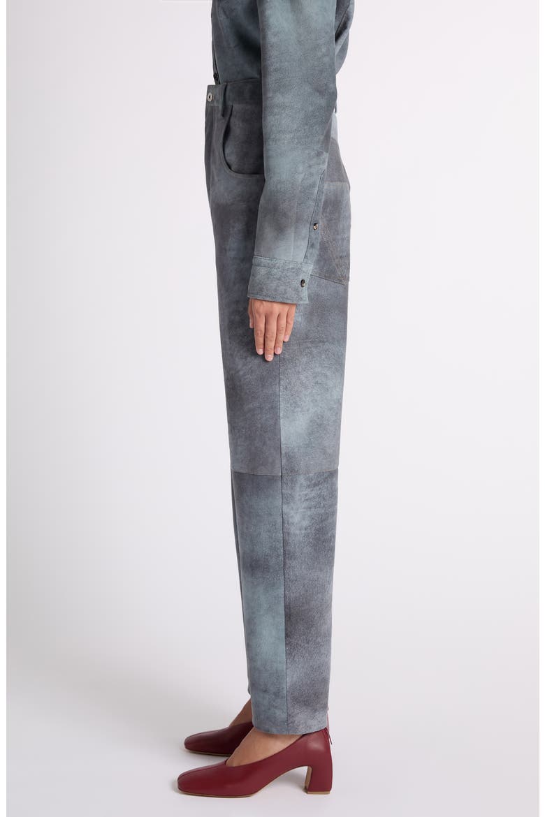 Cloudy Suede Pants, Alternate, color, 4690 CLOUDY INDIGO