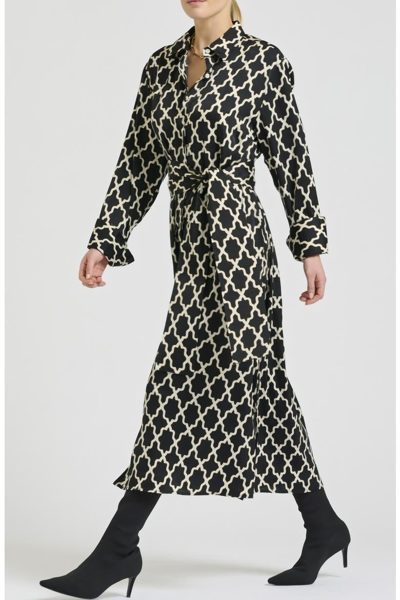 Amelie Print Cotton Shirtdress, Alternate, color, MOROCCAN PRINT
