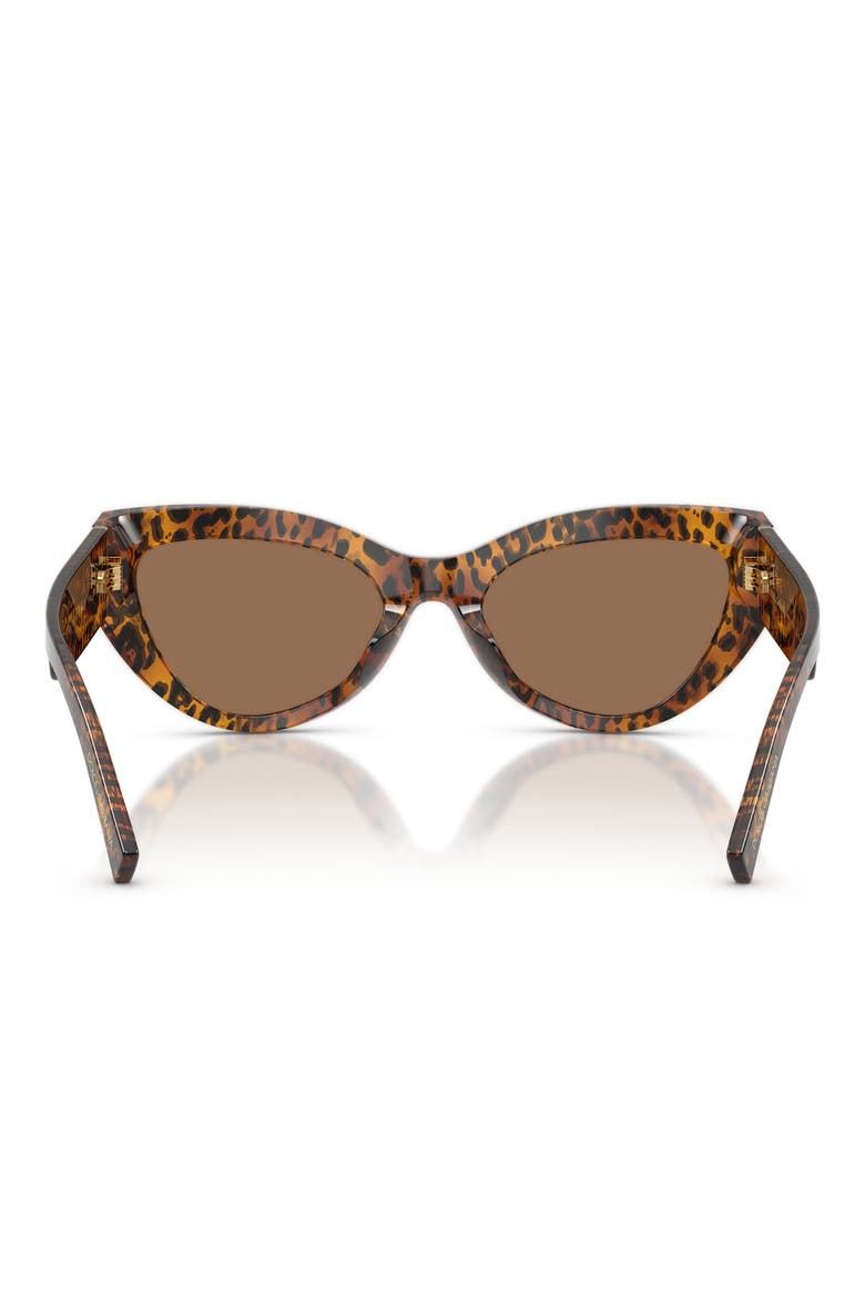 55mm Cat Eye Sunglasses, Alternate, color, LEO TRANSPARENT / DARK BROWN