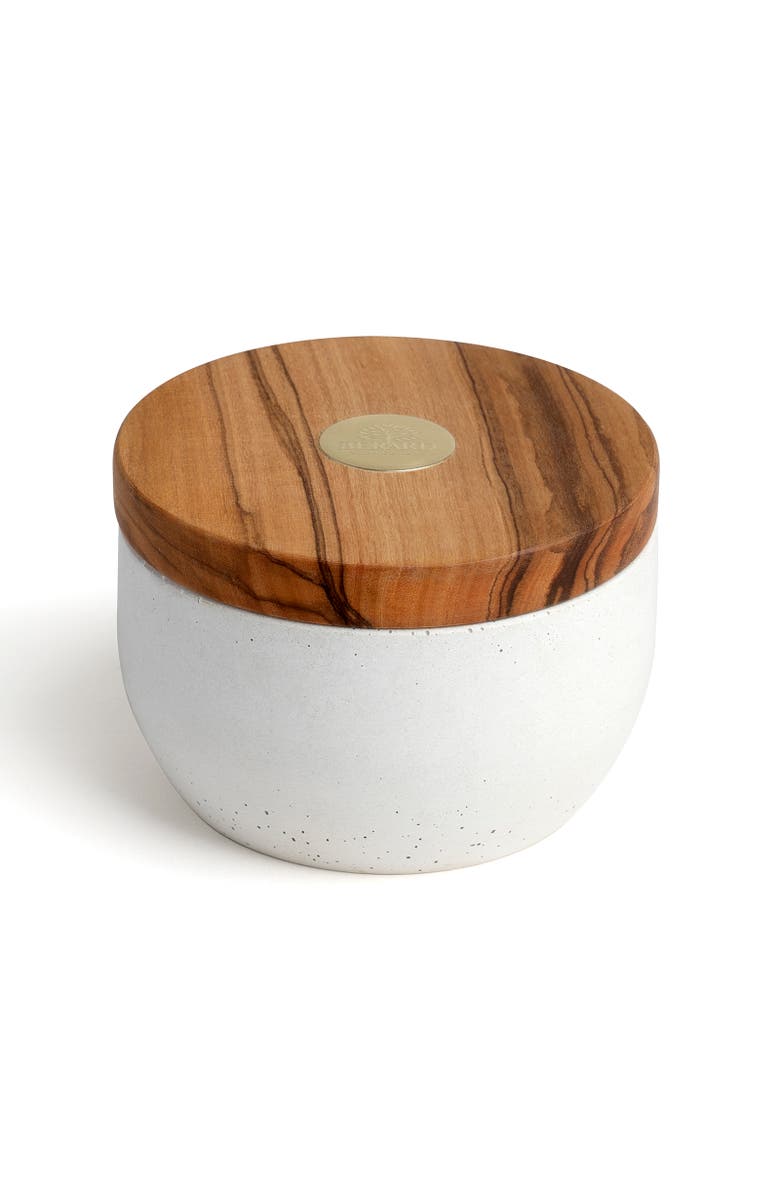 Berard France Olive Wood & Concrete Salt Keeper Box, Main, color, Brown