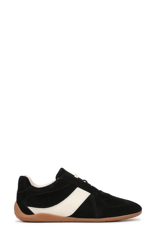 Vince Solaris Sneaker In Black