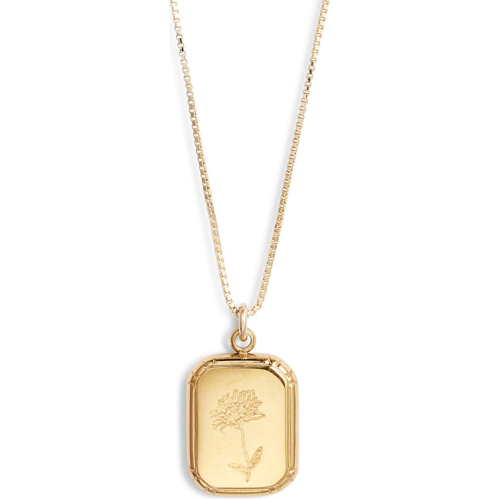 Set & Stones Audrey Birth Flower Pendant Necklace In Gold