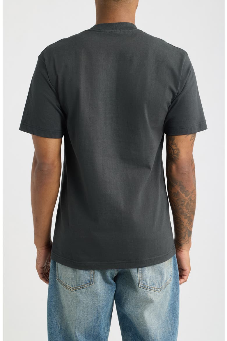 Chaos Dissent Graphic Cotton T-Shirt, Alternate, color, VINTAGE BLACK
