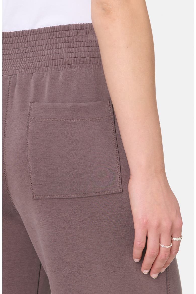 Sand Wash Cloud Weight Track Pants, Alternate, color, SABLE BROW