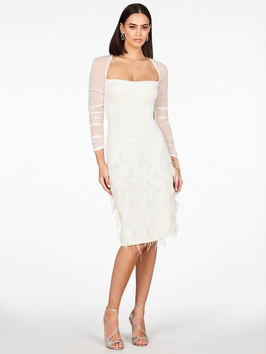 selected Ivory