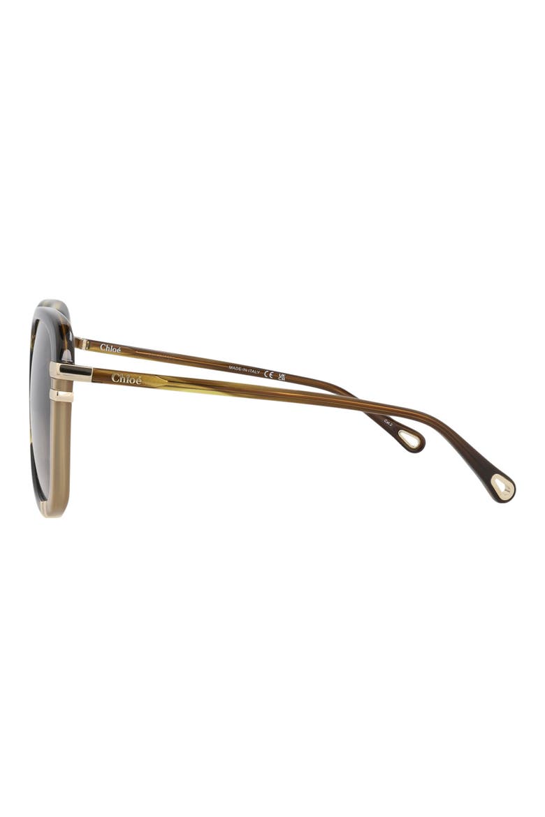 59mm Square Sunglasses, Alternate, color, HAVANA HAVANA BROWN