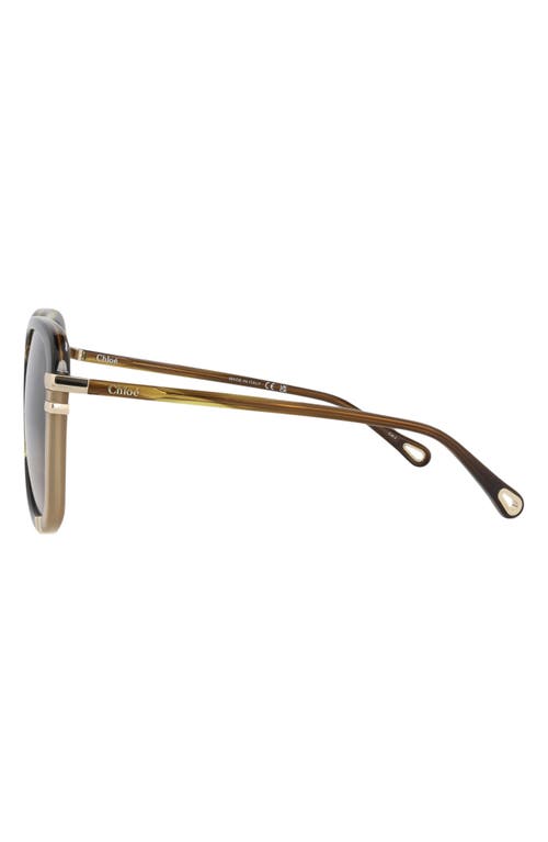Chloé 59mm Square Sunglasses In Brown