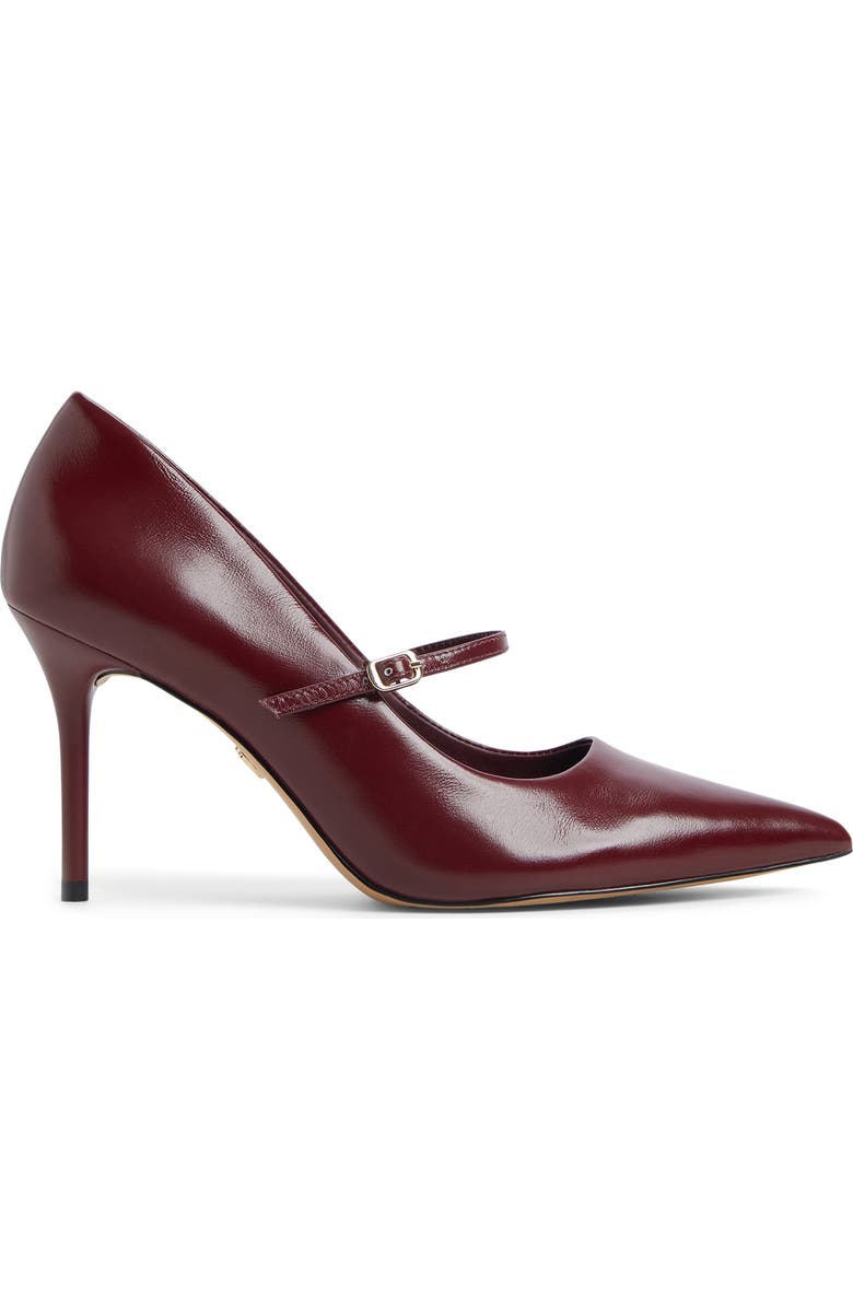 ALDO Eledeladar Pointed Toe Mary Jane Pump, Alternate, color, Burgundy