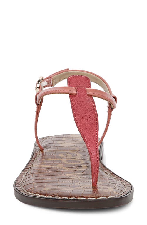 Shop Sam Edelman Gigi Sandal In Summer Rose Se/pink Lily
