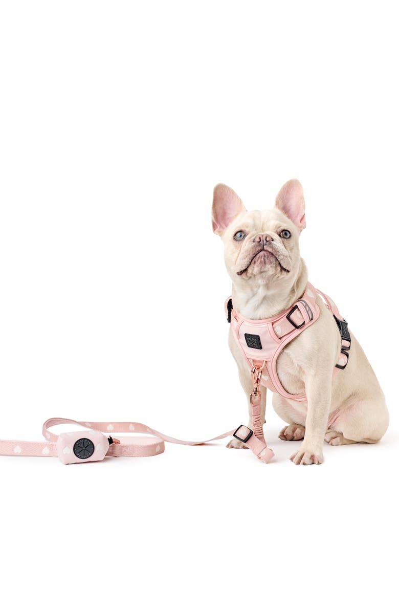 Dogistry NoMad Adjustable Dog Walking Set, Alternate, color, Sweetheart - L