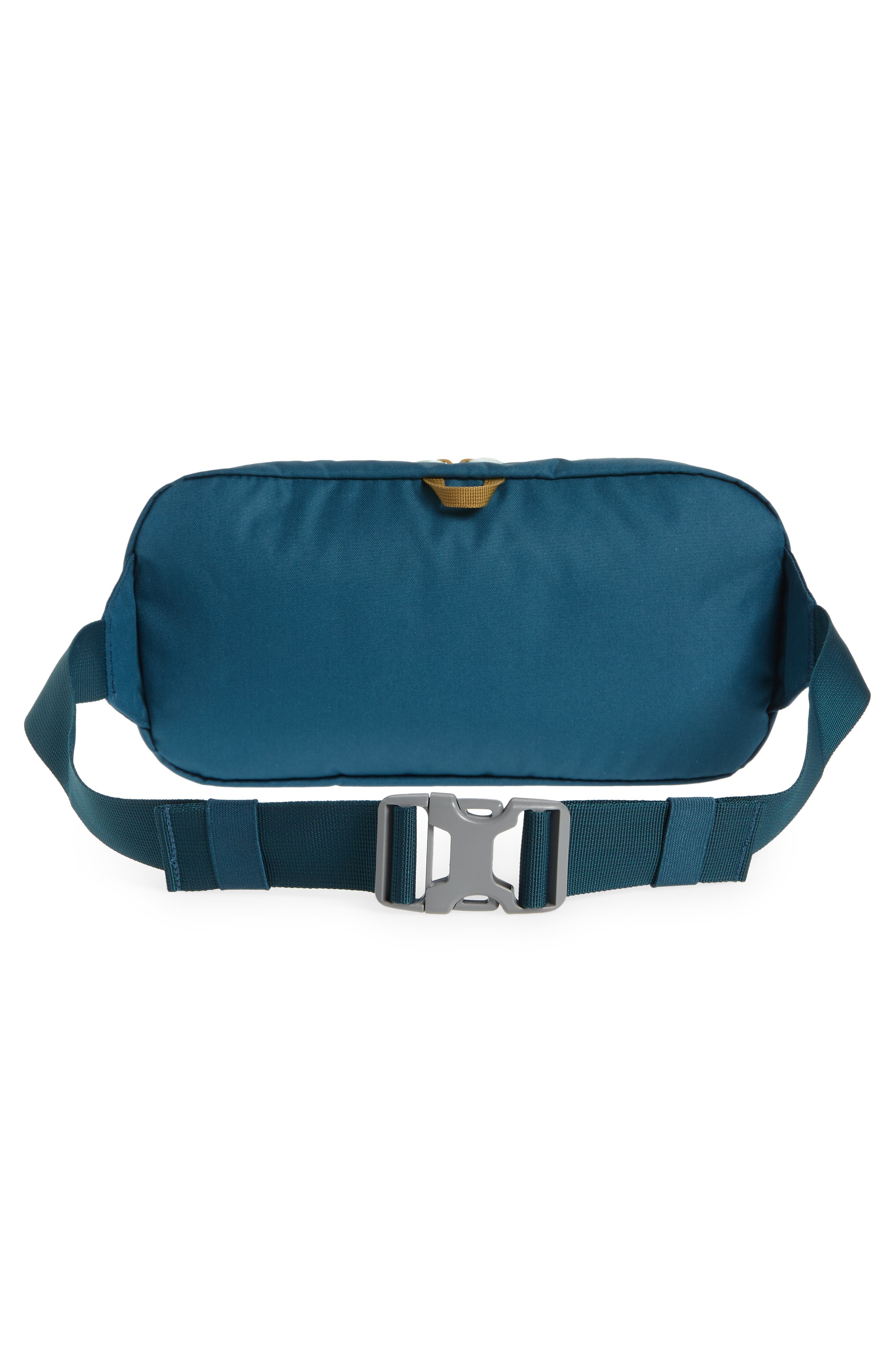 Sunny 5-Liter Water Repellent Belt Bag, Alternate, color, POND/ DULL GOLD