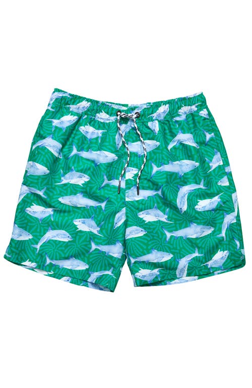Snapper Rock Printed Swim Shorts In Green
