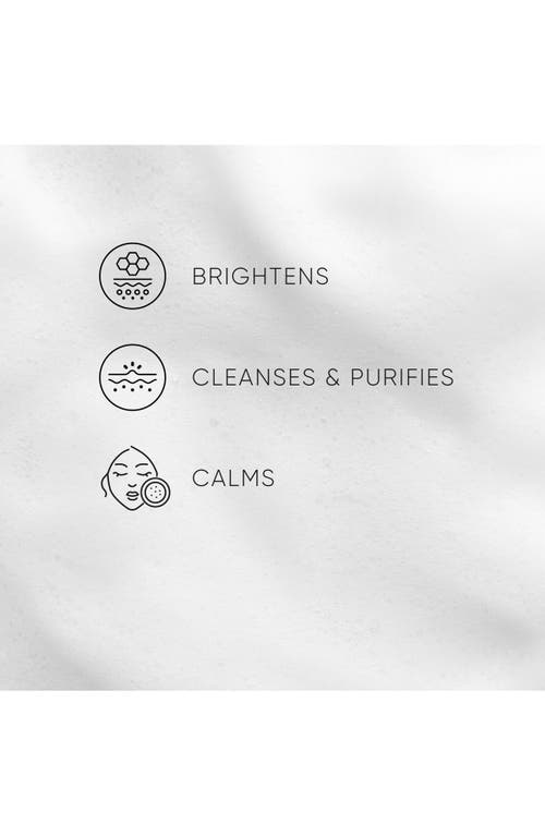 Irene Forte Lavender Foam Cleanser 6.76 Oz.