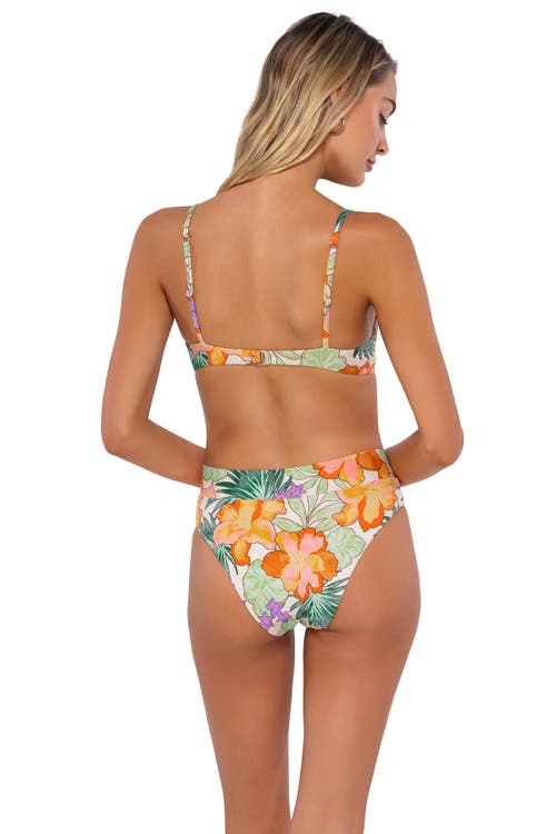 Swim Systems Avila Underwire In Waimea