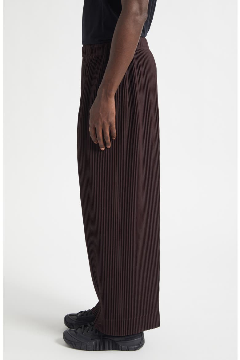 Monthly Colors January Pleated Pants, Alternate, color, EGG PLANT BLACK