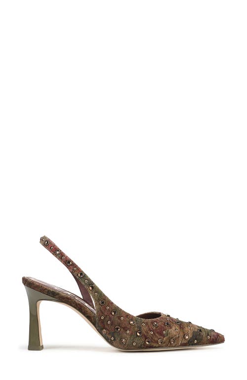 Circus Ny By Sam Edelman Tallie Pointed Toe Slingback Pump In Brown