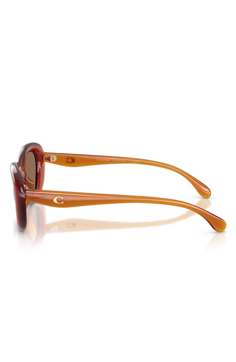 COACH 54mm Oval Sunglasses, Alternate, color, Milky Amber / Wine Solid
